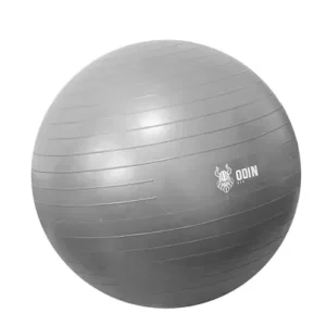Bola Suiça 65 cm  - Em breve…